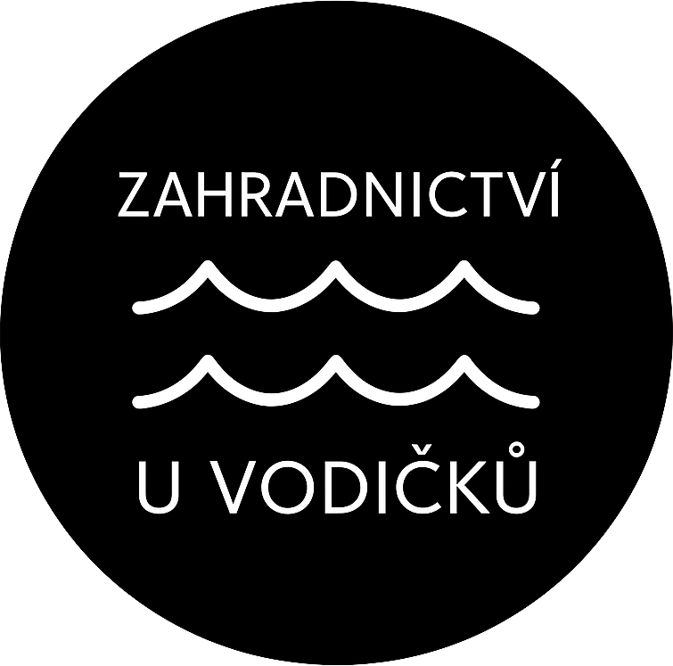 logo bez